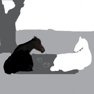 Meet your Posher, Lynn